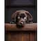 16" x 20" Black Lab Paint-by-Number Kit by Artist's Loft®